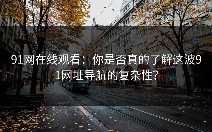 91网在线观看:你是否真的了解这波91网址导航的复杂性? 第1张 91网在线观看:你是否真的了解这波91网址导航的复杂性? 第1张