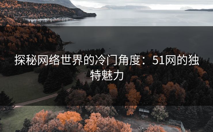 探秘网络世界的冷门角度:51网的独特魅力 第1张 探秘网络世界的冷门角度:51网的独特魅力 第1张